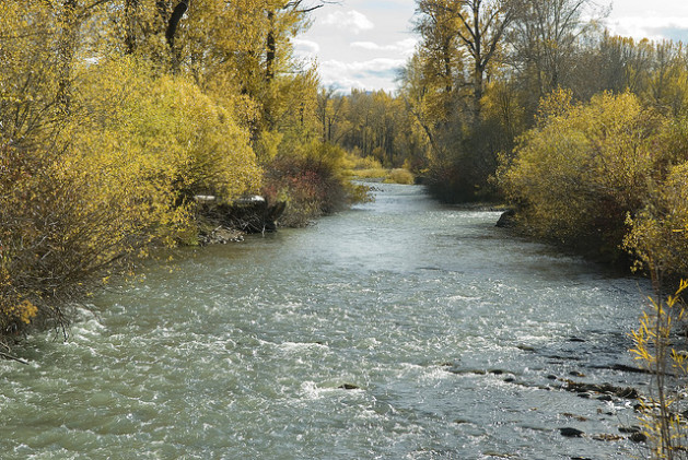 River in Bozeman, MT