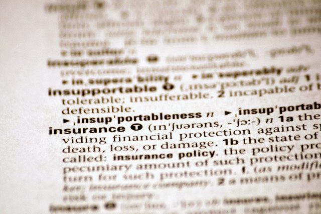Photo of insurance entry in dictionary