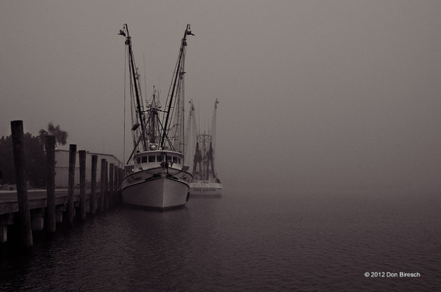 apalachicola shrimpboats in fog
