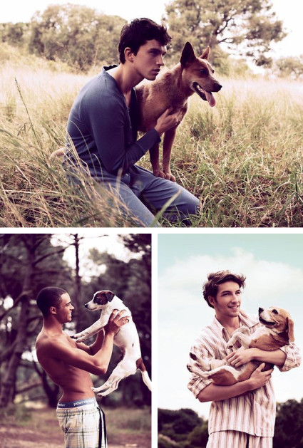 3 hot guys with dogs