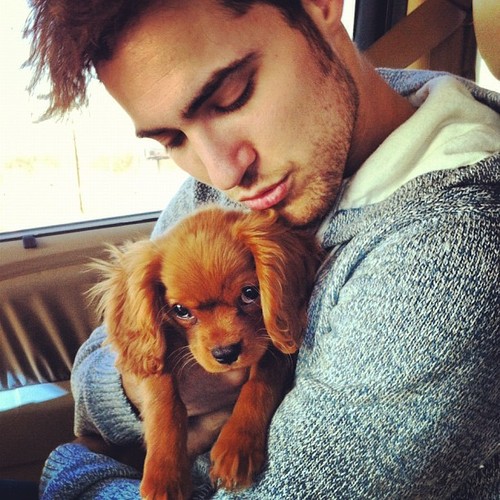 cute guy with king charles spaniel