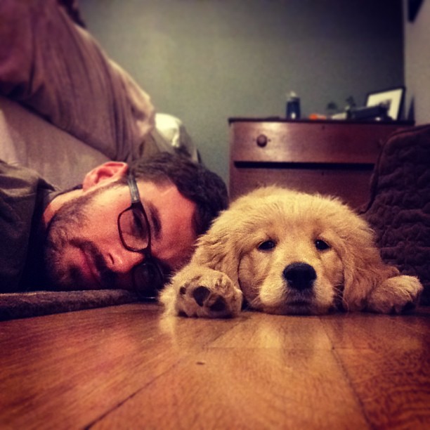 cute guy on floor with golden retriever puppy