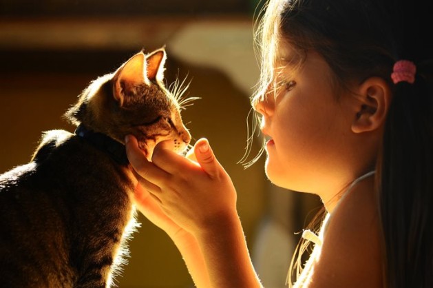 little girl playing with a cat's face