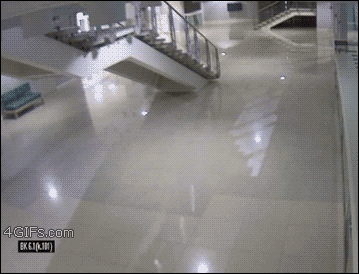 cat roof collapse gif