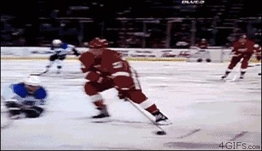 hockey player smashing into glass gif
