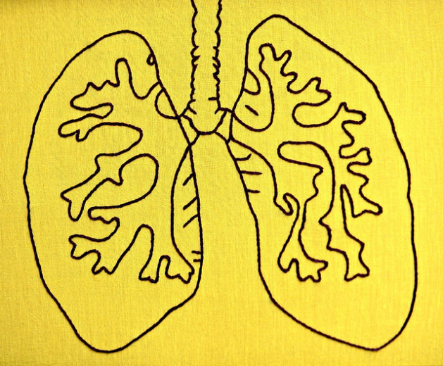 Large Scale Lungs, Framed Anatomy Embroidery