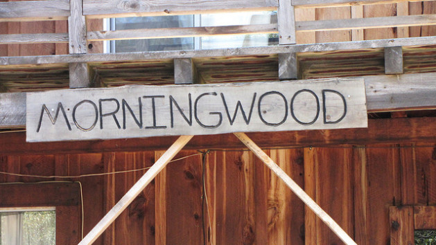 Camp Morningwood