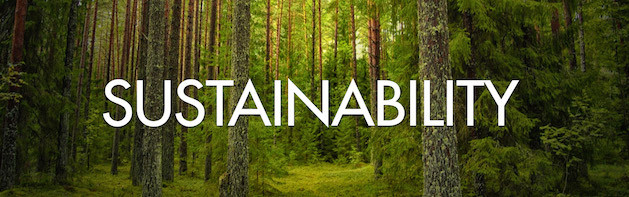 SUSTAINABILITY trees in forest