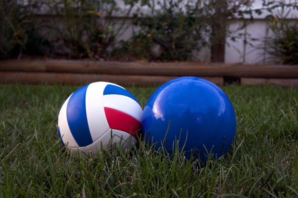 two balls in my backyard.