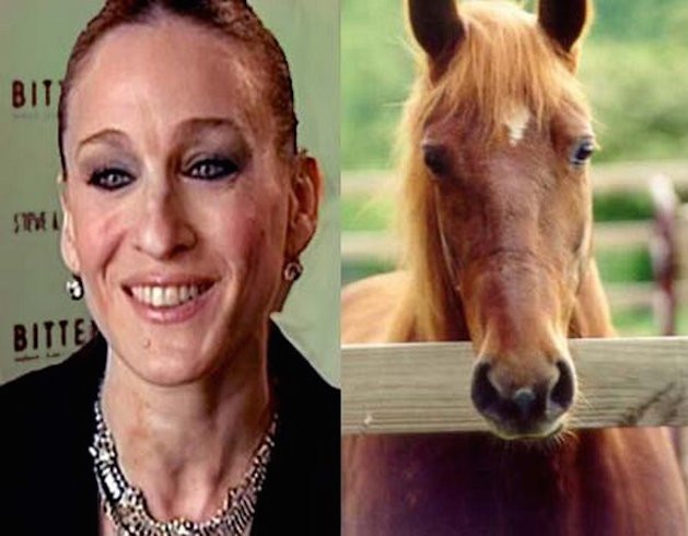 sarah-jessica-parker-horse