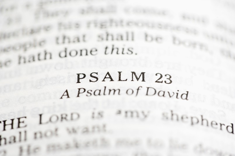 Selective focus of Psalm verses in open Holy Bible.