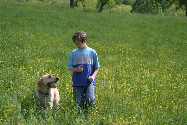 boy walking with dog in field