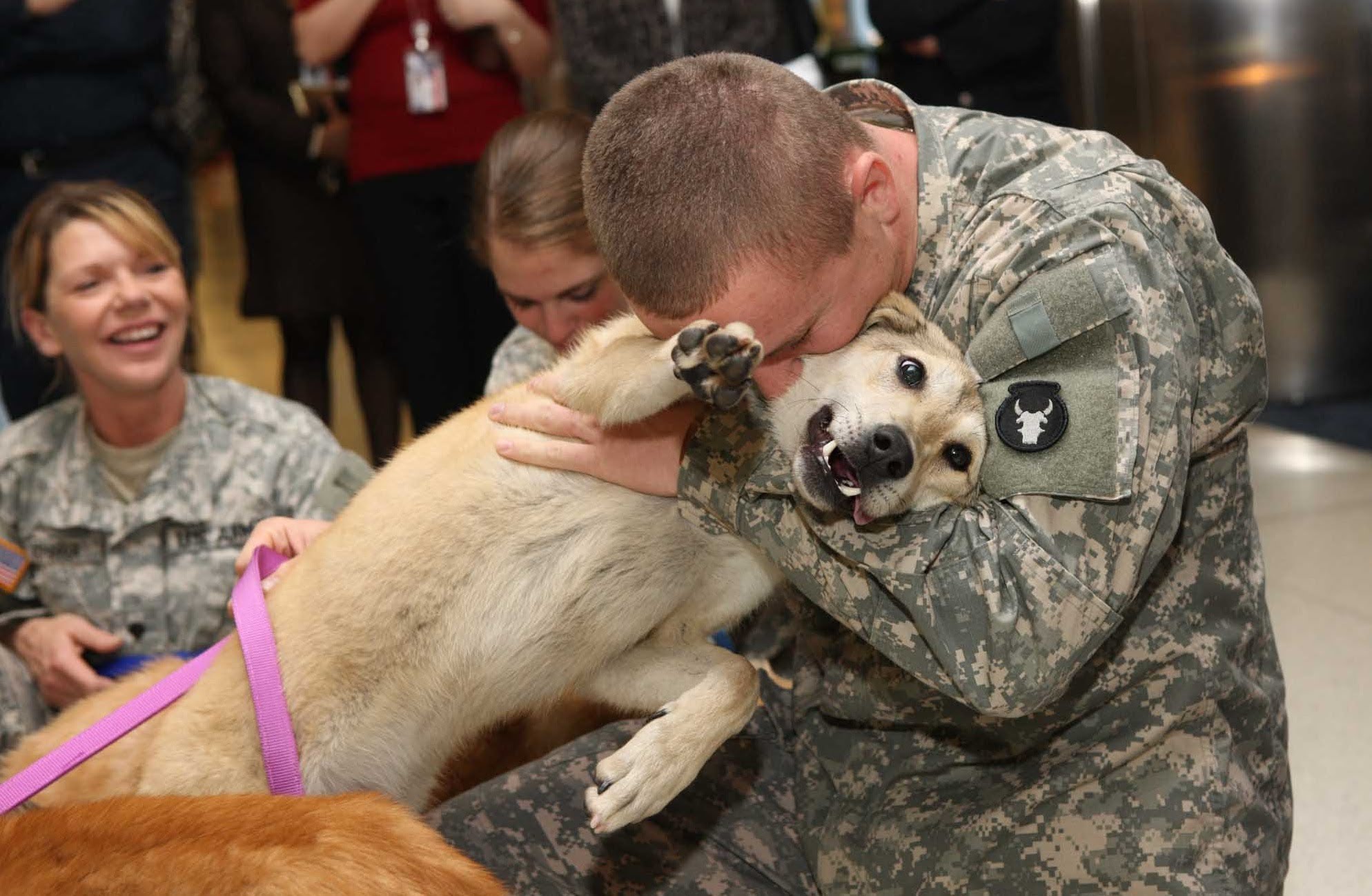 dog and soldier reunited