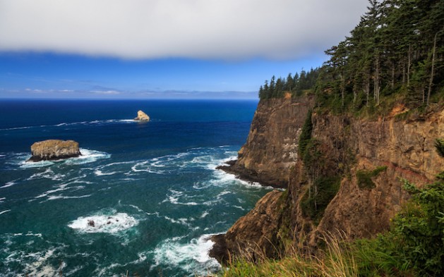 Oregon Coastal Cliffs at Cape Meares
