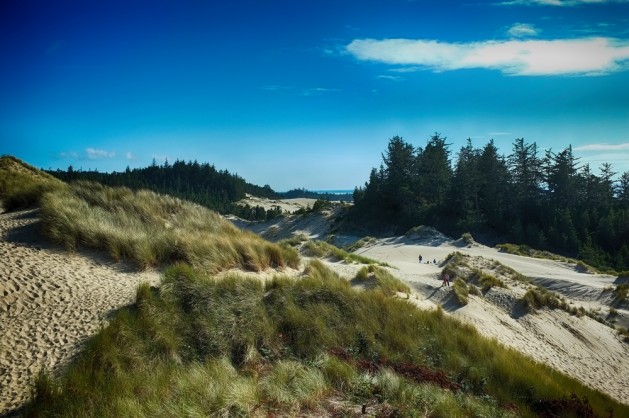 Oregon Dunes National Recreation Area , on the Oregon Coast