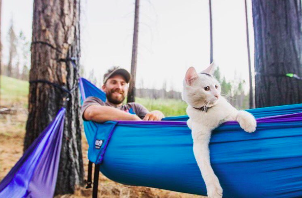 Camping with cats