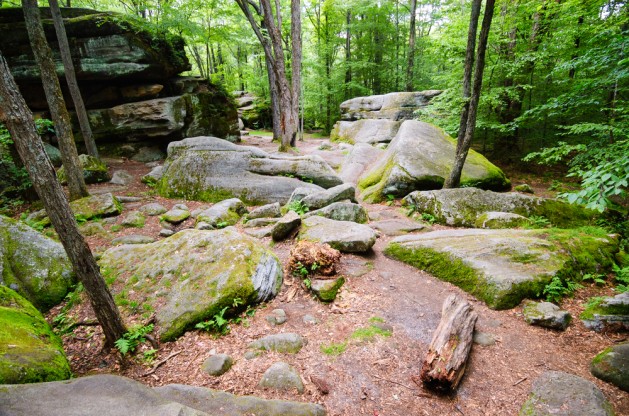 Allegany State Park