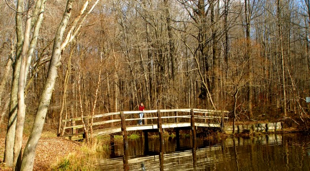 Girl standing on bridge on walking path across an edge of the water at Lum's Pond State Park in Delaware.