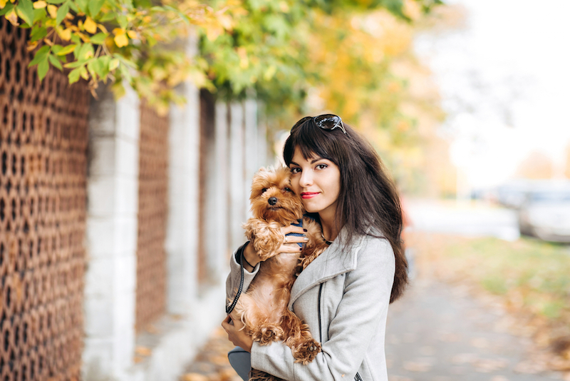 pretty woman beautiful young happy with long dark hair in white coat and dress holding small dog puppy yorkshire terrier on street city background with best dog food brands