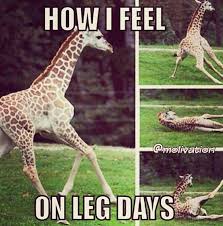 Leg Day Memes: Why They Are So Funny