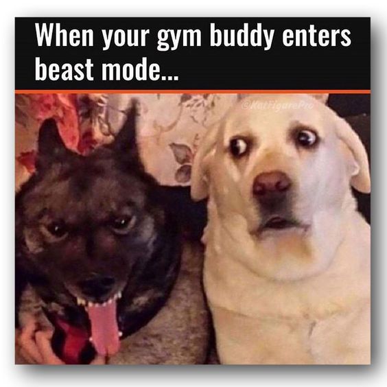 Funny Gym Memes (You Should Keep on Your Phone)