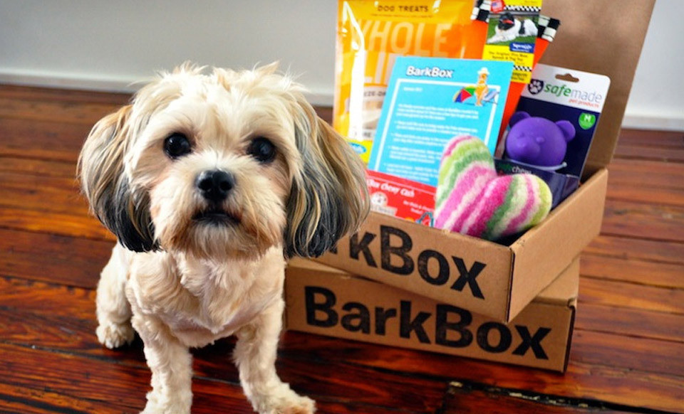 what is barkbox with small dog and dog toys