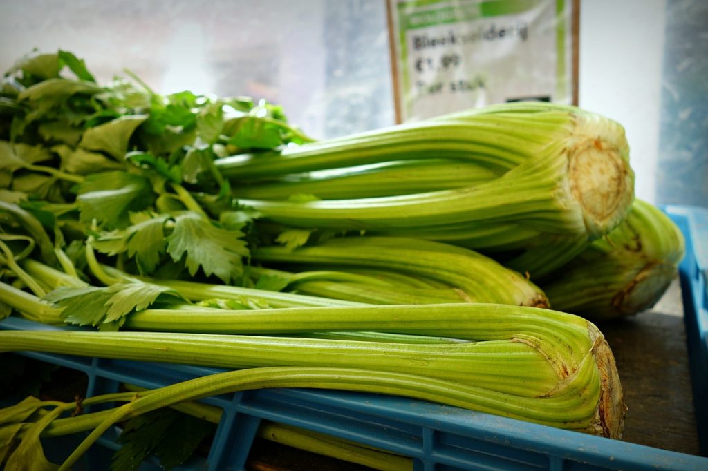 how long does celery last, wilted celery bunches